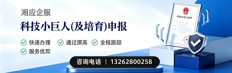 绵阳科技小巨人及培育企业申报服务