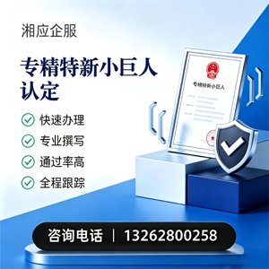 绵阳专精特新小巨人申报服务