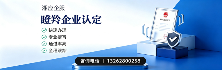 绵阳瞪羚企业认定申报服务