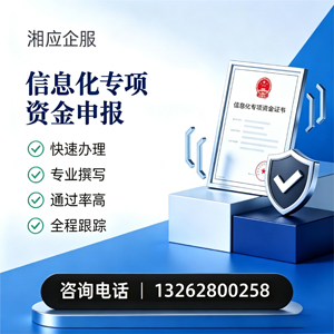 绵阳信息化专项资金申报服务
