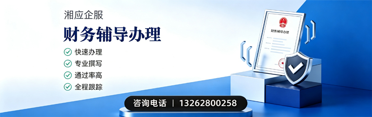 绵阳财务辅导申请服务