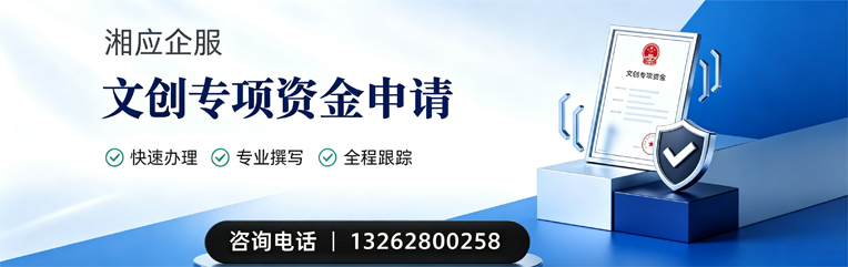 绵阳文创专项资金申报服务