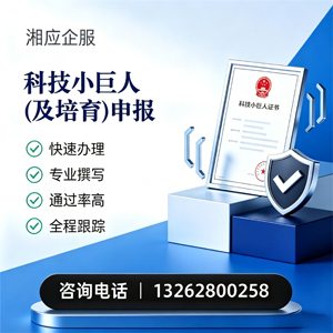 绵阳科技小巨人及培育企业申报服务