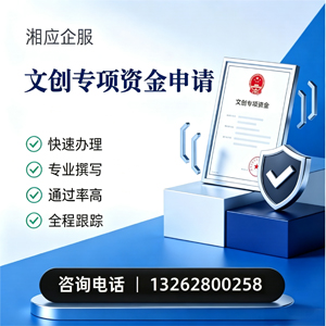 绵阳文创专项资金申报服务