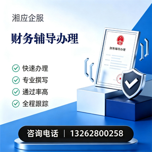 绵阳财务辅导申请服务
