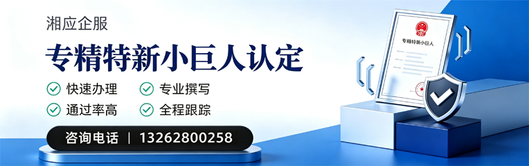 绵阳专精特新小巨人申报服务